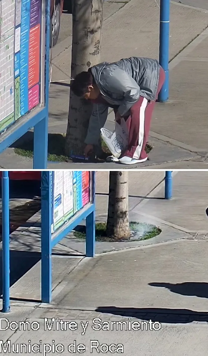 Nueve cesantías por inasistencias en el Municipio
