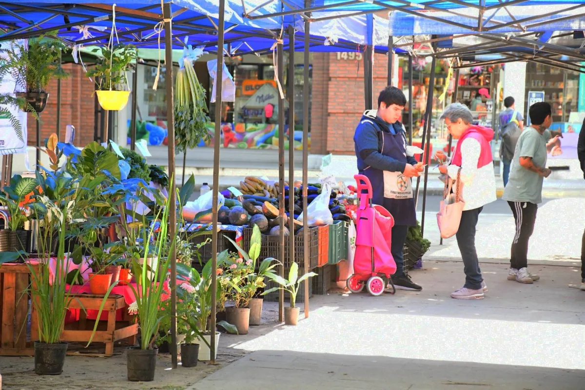Ferias de la Ciudad: productos locales y horarios para la semana