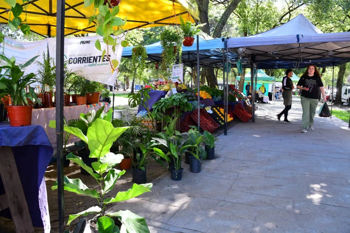 Nuevas Ferias en la Ciudad: Variedad de Productos para el Fin de Semana