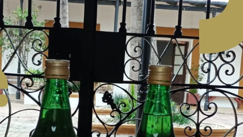 Caña con ruda y chamamé para el 1 de agosto en Goya