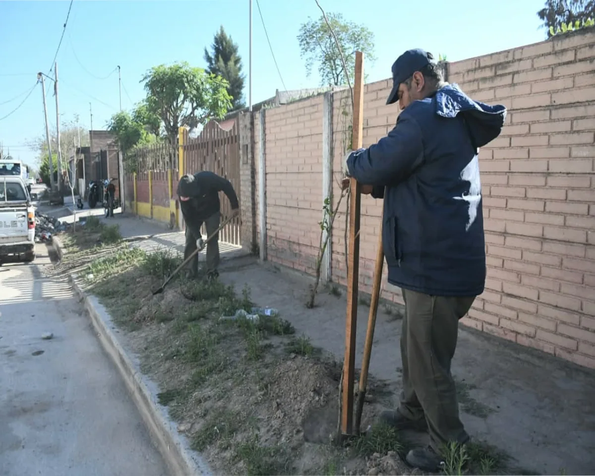 Más de 2.200 árboles plantados en el barrio John Kennedy