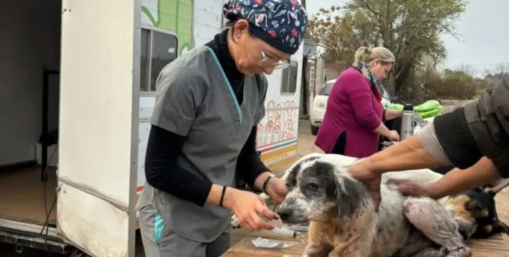 Jornada de vacunación antirrábica en Recreo para mascotas