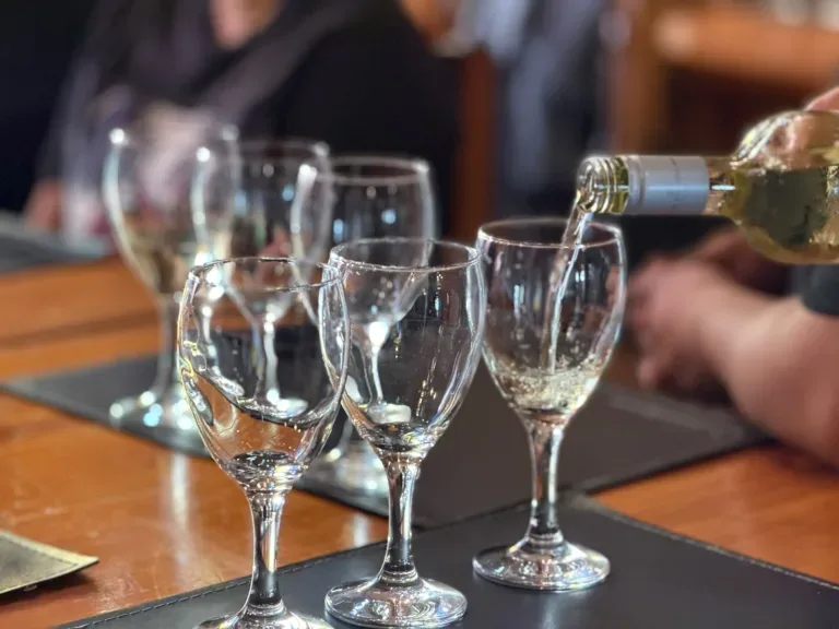 La Municipalidad organizó una masterclass sobre servicio del vino