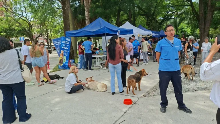 Servicios gratuitos de salud animal en Tres Cerritos