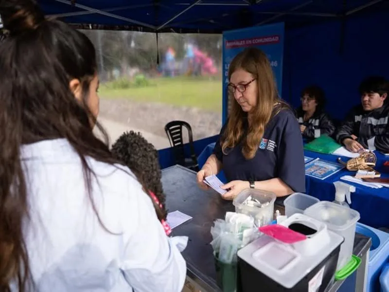 Atención veterinaria gratuita en Plaza Libertad de Lomas de Zamora