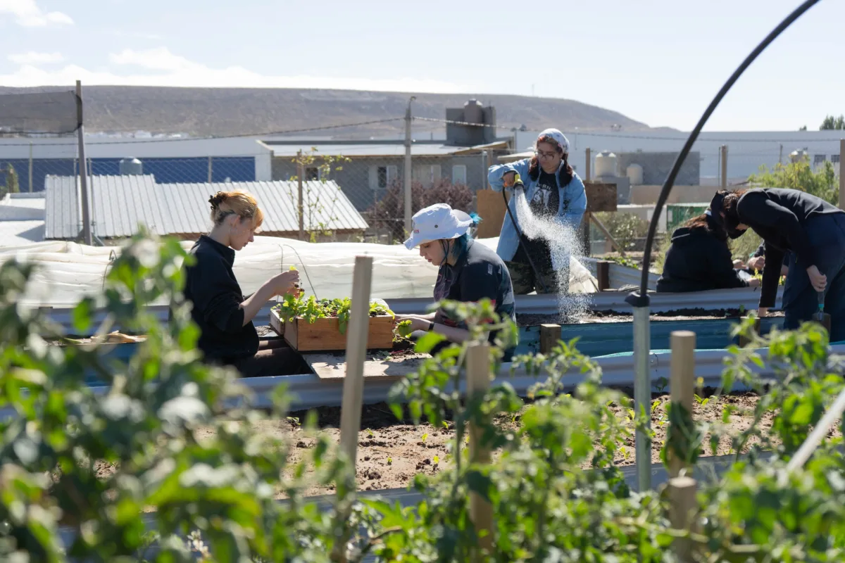 Rada Tilly invita a una jornada de prácticas agroecológicas gratuitas