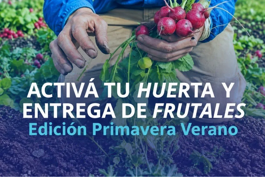 Inscripciones abiertas para taller de huerta en la ciudad