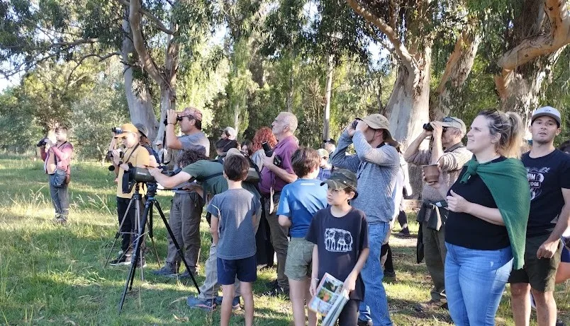 Observación de aves migratorias en el Parque Miguel Lillo este sábado