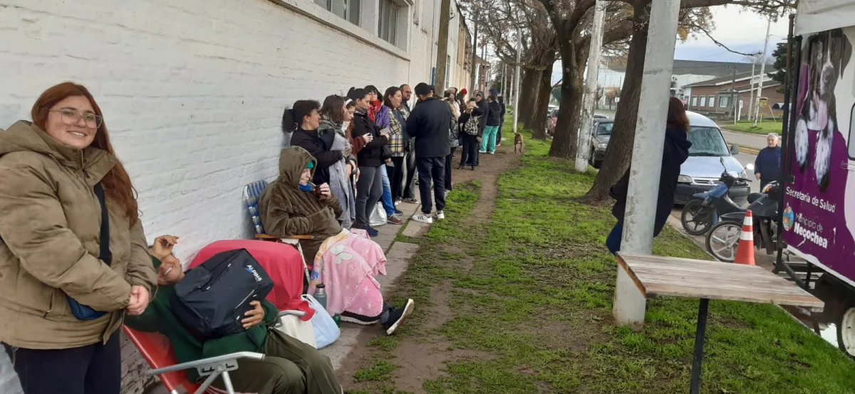 Retoman castraciones diarias en Necochea desde agosto