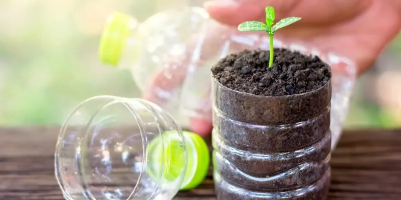 EcoCanje en La Costa: cinco botellas por un plantín floral