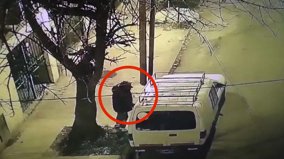 Robo frustrado en San Fernando gracias a cámaras de seguridad