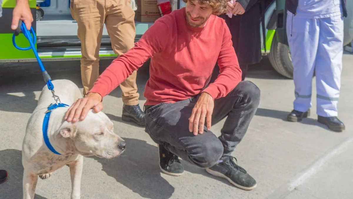 San Fernando prohíbe la venta de animales en comercios
