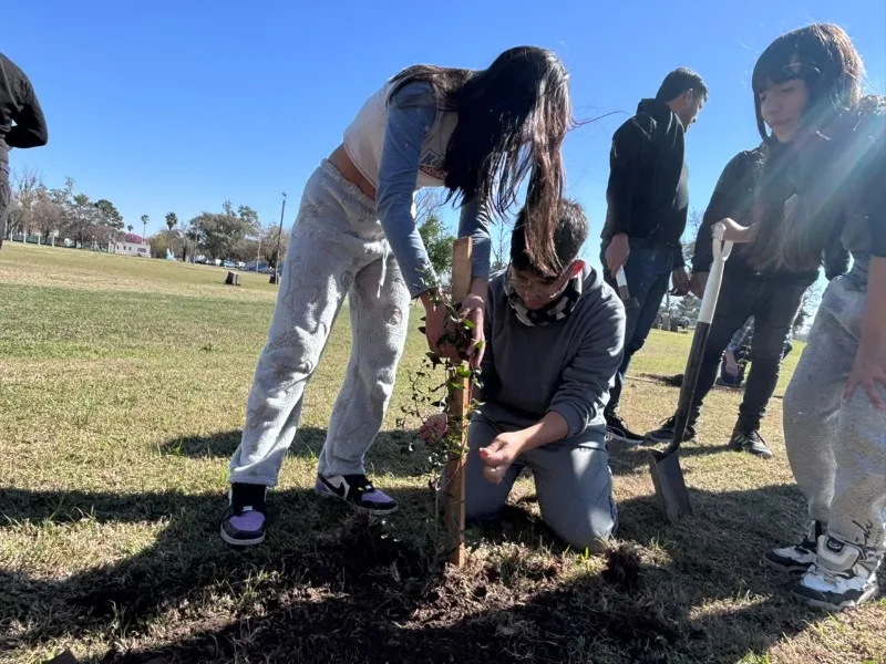 Reforestación en el Polideportivo Municipal con 50 nuevos árboles