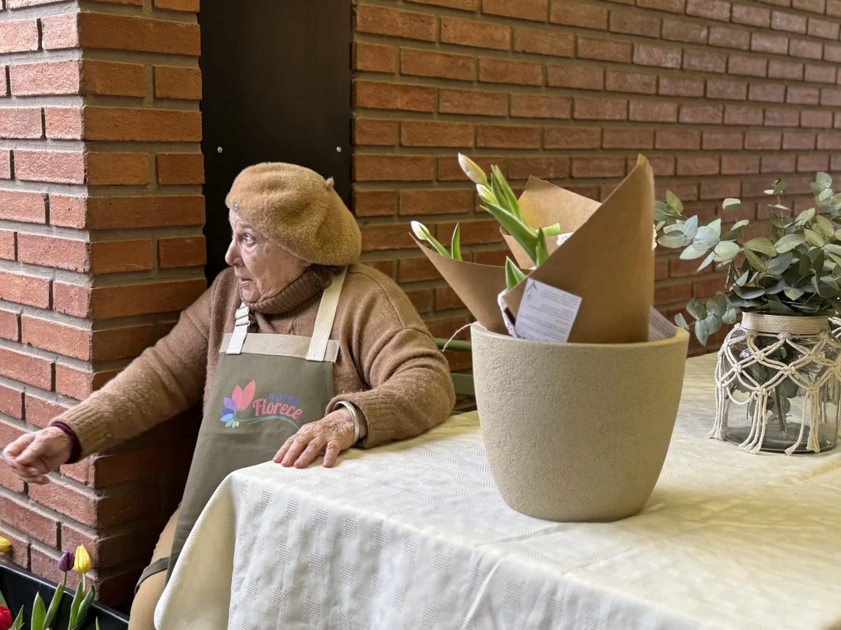 Éxito en la Feria del Paseo del Molino: 200 tulipanes vendidos