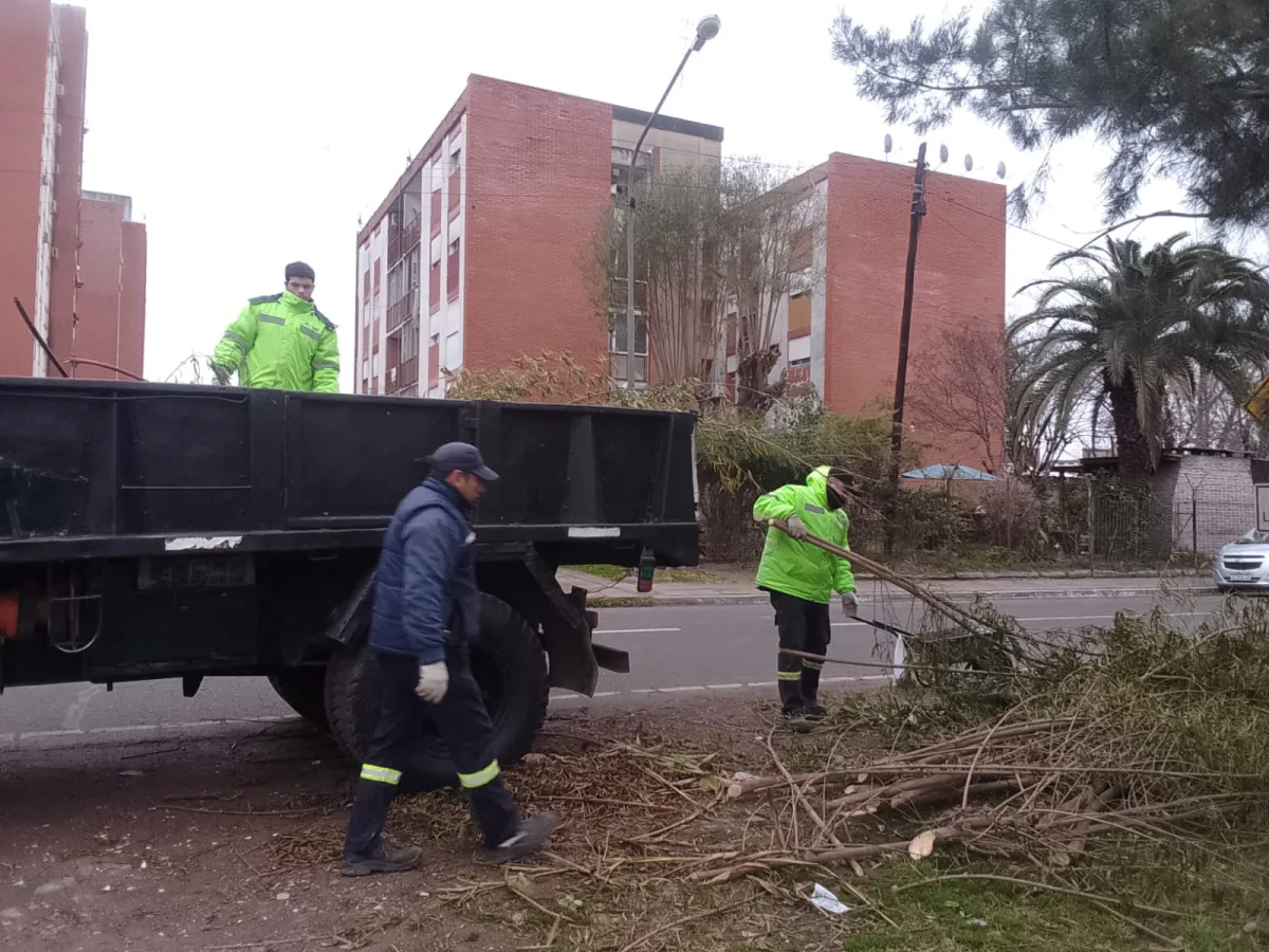Cronograma de recolección de ramas en Escobar para julio