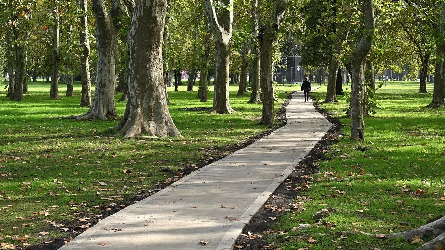 Cómo solicitar árboles en Luján: pasos y contacto