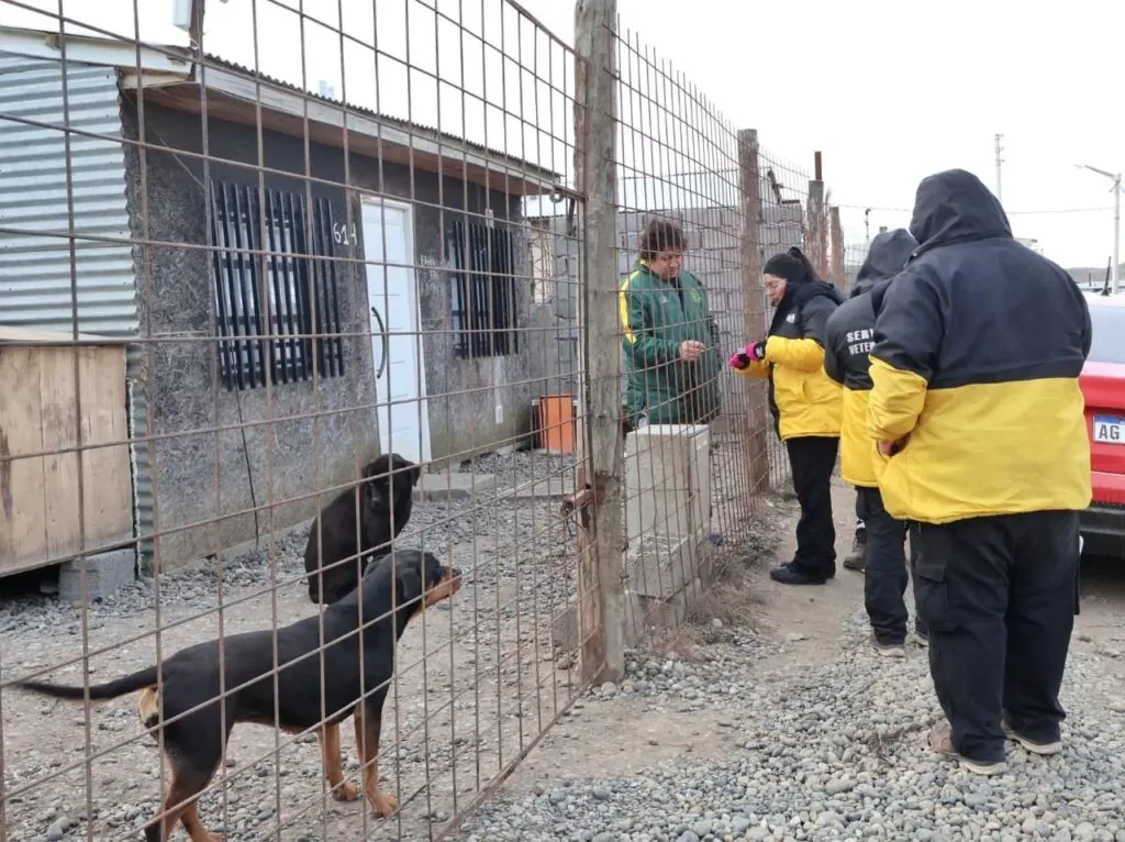 Nuevos servicios veterinarios en barrios de Río Grande