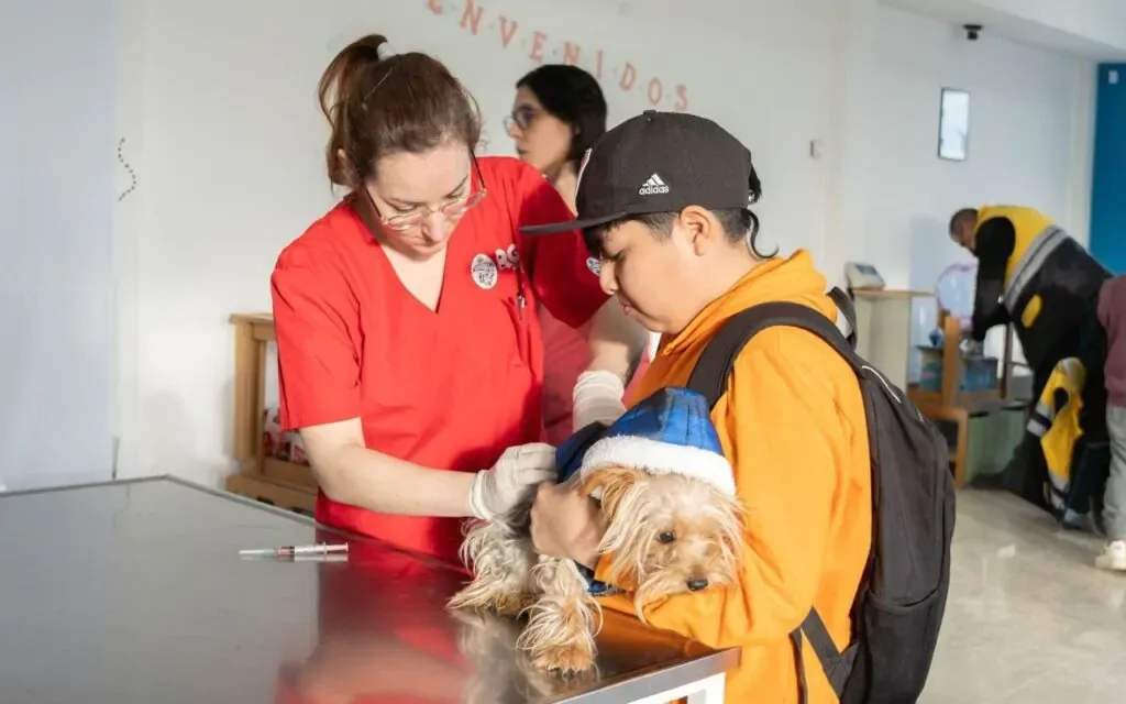 Vacunación y adopción de mascotas en Río Grande este sábado